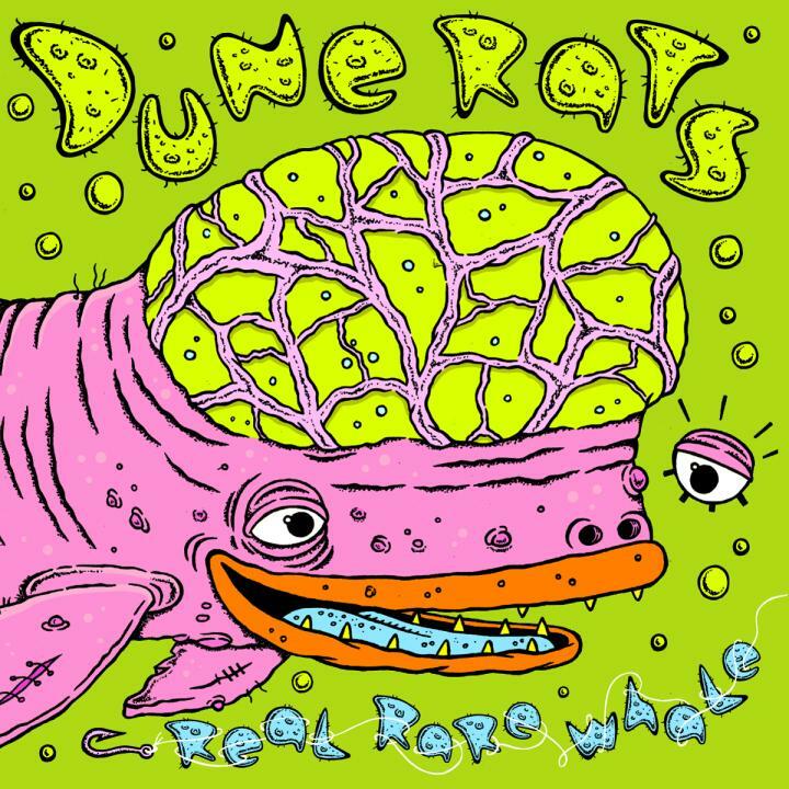 DUNE RATS Release New Album â€˜Real Rare Whale’